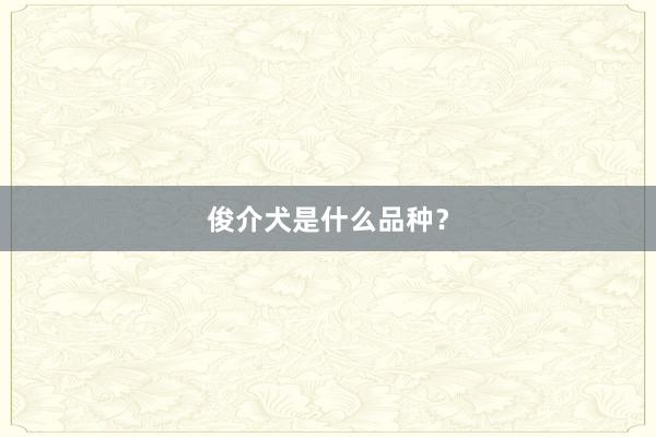 俊介犬是什么品种？