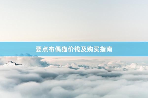 要点布偶猫价钱及购买指南