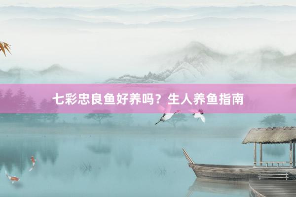 七彩忠良鱼好养吗？生人养鱼指南